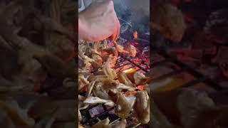 Barbecue _ شواء اجنحة دجاج