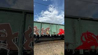 Freight weekend! #graffiti #art #spraydaily #graffitiart #rap #graffitiontrains #freighttrain