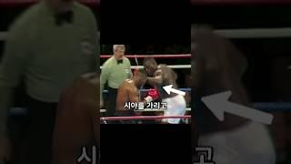 타이슨을 다운시킨 완벽한 콤보