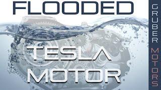 Tesla Model S | Flooded Motor Repair | Gruber Motors