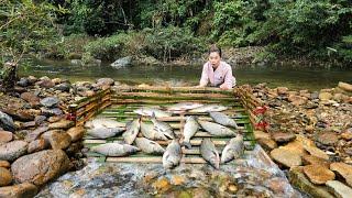 Ana skillfully used bamboo to weave together to create a fish trap. And caught many fish in the trap