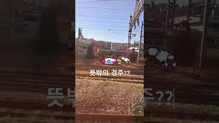 힐링/ 기차와 전철의 뜻밖의 경주^^#기차#여행#shorts