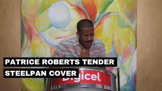 Patrice Roberts - Tender Steelpan Cover by Joshua Regrello