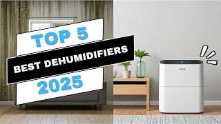 Best Dehumidifiers of 2025: Top Picks for Every Need 