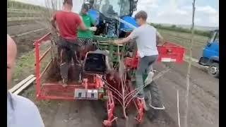 Фермерское хозяйство ПРОДУКЦИЯ и саженцы 0958740888