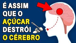 Como o Açúcar Afeta o Cérebro | Vícios Ep. 05