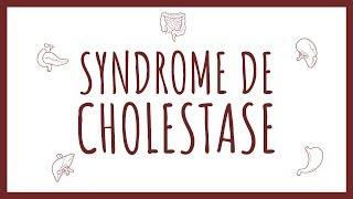 Sémiologie Hépatique - Syndrome de Cholestase