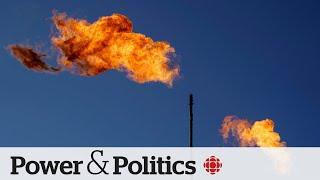 Emissions are back in decline. Can that continue without the carbon tax? | Power & Politics