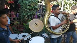 Músicos de Omitlan Guerrero - La Víbora Para Boda - Alex y su Banda La Consentida De Guerrero