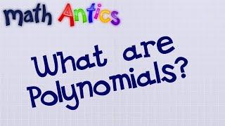 Algebra Basics: What Are Polynomials? - Math Antics