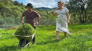 Village Life in the Mountains! Harvesting Firewood and Cooking Dinner