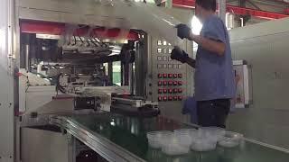 vegetable tray making machine