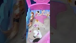 Magic girl#shorts #reviewtoys #asmr #animation #toys #funny #craft #satisfying #labubu