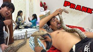 Snake Prank on Family  Mamu Ki Pent Mein Dal Dea 