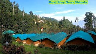 Found the Best Place to Stay near Shimla | Mashobra Hills | Himachal solo trip