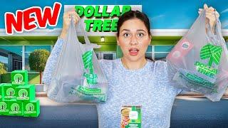 Dollar Tree Best Kept Secret: $1.25 Deals You Need To See