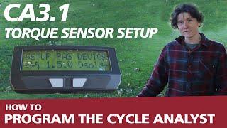 How to Setup a Torque Sensor with a V3.1 Cycle Analyst