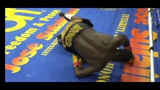 Blair Cobbs Knockdown of Adrien Broner 2 Round!