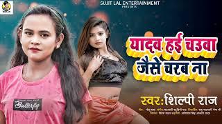 यादव हई चाउवा जैसे चरब ना #यादव Shilpi Raj# Bhojpuri song #यादव हई चाउवा जैसे चरब ना#