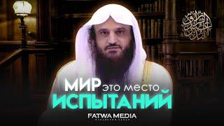 Аллах знает вашу боль; твердо придерживайтесь этого и ждите облегчения || Шейх Абдур-Раззак аль-Бадр