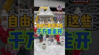 来泰国自由行看到这些东西马上走开尤其最后一样 #泰國 #trip #thailandtravel #熱門