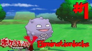 Pokémon Y Japanese Eliminationlocke 1   Unser Team