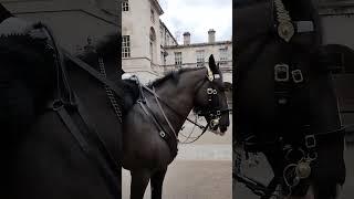 Change Of Horse Guards - The King's Life Guard - London