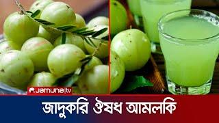 আমলকির যত উপকারী পুষ্টি ও ওষধি গুনাগুণ | Amloki