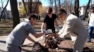 Нижний Новгород. Субботник в парке Свердлова