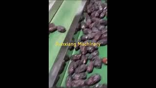 Date palm cleaning, air drying and grading machine production line #machine #fruit #factory #food