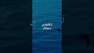 surah az-zumar verse 52-53
