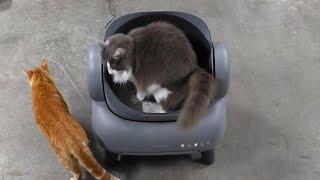 This smart litter box is a Must Have for cat owners! Unboxing and review. @neakasa.tech