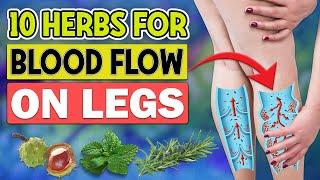 10 Best Herbs to Improve Blood Flow on Legs You Never Heard About