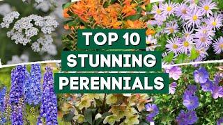 10 Stunning Perennials Every Garden Should Have!  // PlantDo Home & Garden