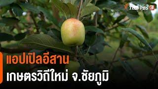 แอปเปิลอีสาน เกษตรวิถีใหม่ จ.ชัยภูมิ : คุณเล่า เราขยาย (6 พ.ค. 65)