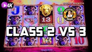 Buffalo Gold Class 2 vs Class 3 Jackpot Hand Pay's