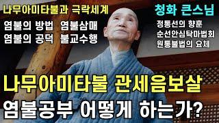 나무아미타불 관세음보살 염불공부는 무엇인가 | 염불의 의의 방법 염불삼매 나무아미타불과 극락세계 불교수행과 마음공부 |청화스님 법문