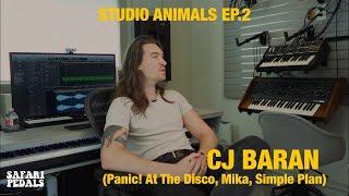 Cj Baran (Panic! At The Disco, Mika, Simple Plan) - Studio Animals interview