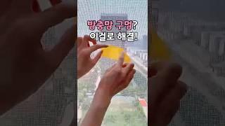 방충망 구멍?  이걸로 해결! #방충망보수 #방충망수리 #보수테이프