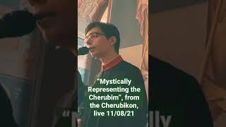 “Mystically Representing the Cherubim”, from the Cherubikon, #live November 8th, 2021