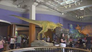 San Diego Natural History Museum turns 150 with a lively celebration