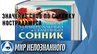 Значение снов по соннику Нострадамуса