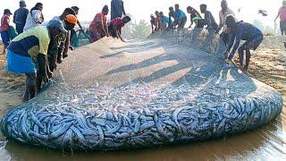  Woow!! Amazing !! Million 8k of fish catching unbelievable fishing video @fishnegombo