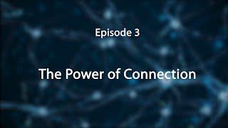 Stress, Trauma, and the Brain: Insights for Educators--The Power of Connection