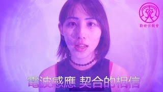 勸世寶貝喵喵 - 喵電感應