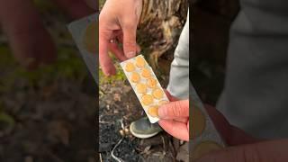 Clean hands in all situations #nature #skills #survival #forest