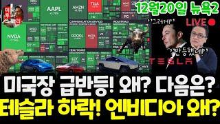 미국주식시황/오늘 왜 급반등했나? 테슬라는 하락! 엔비디아 상승! 왜? 구글 애플 아마존 메타 마이크로소프트 팔란티어 아이온큐 SMCI 델 브로드컴 LLY등 $tsla #tesla