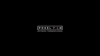 Poxel intro