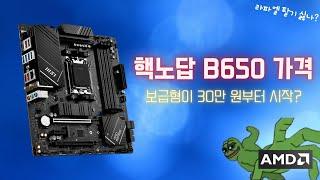 보급형 보드가 30만 원부터 시작? 노답인 B650 가격... AMD는 라파엘 팔기 싫나?