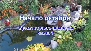ВРЕМЯ СТРОИТЬ ШПАЛЕРЫ (1 часть)
